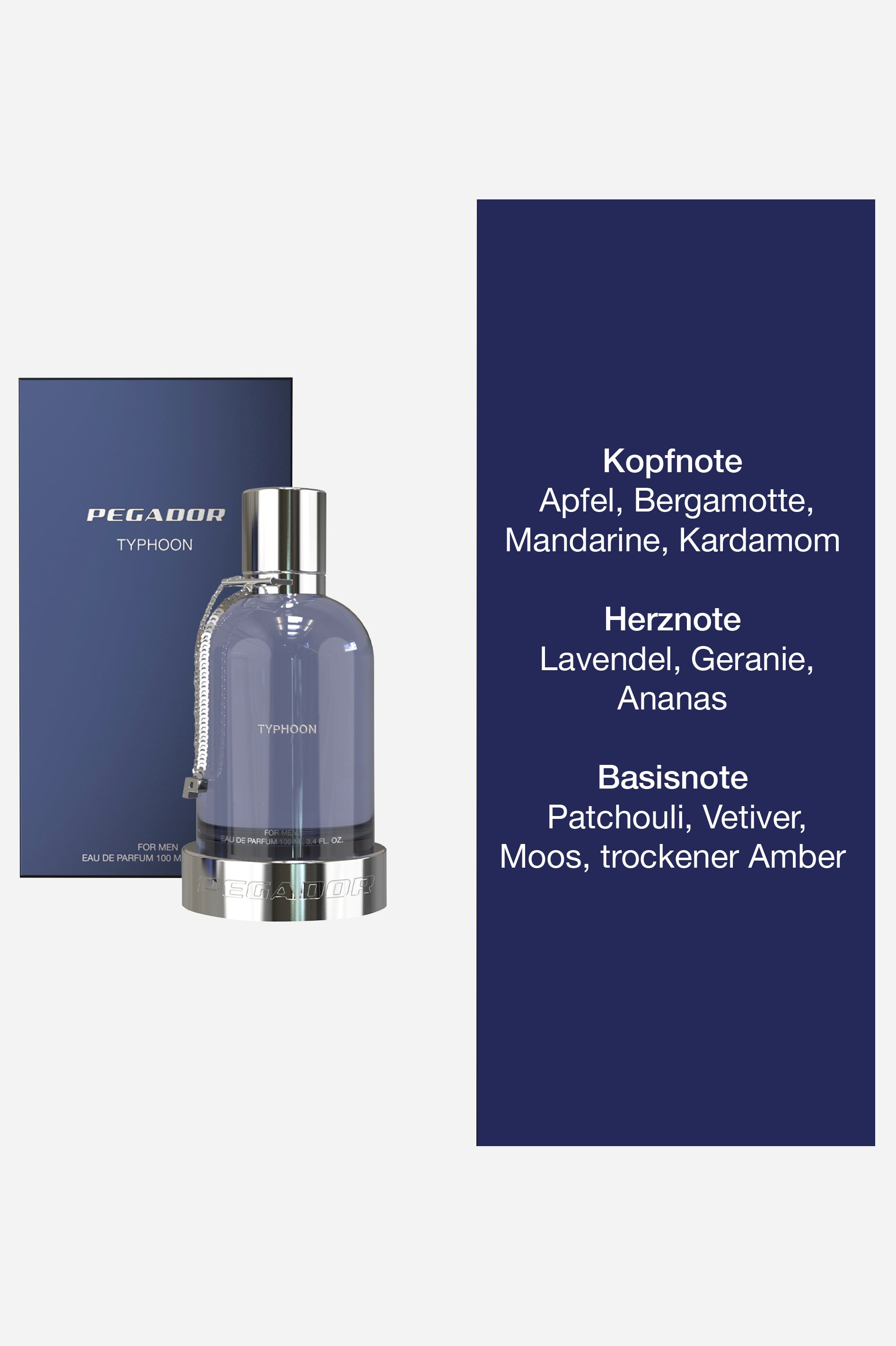 Typhoon Eau de Parfum - 100ml - For Men – PEGADOR®