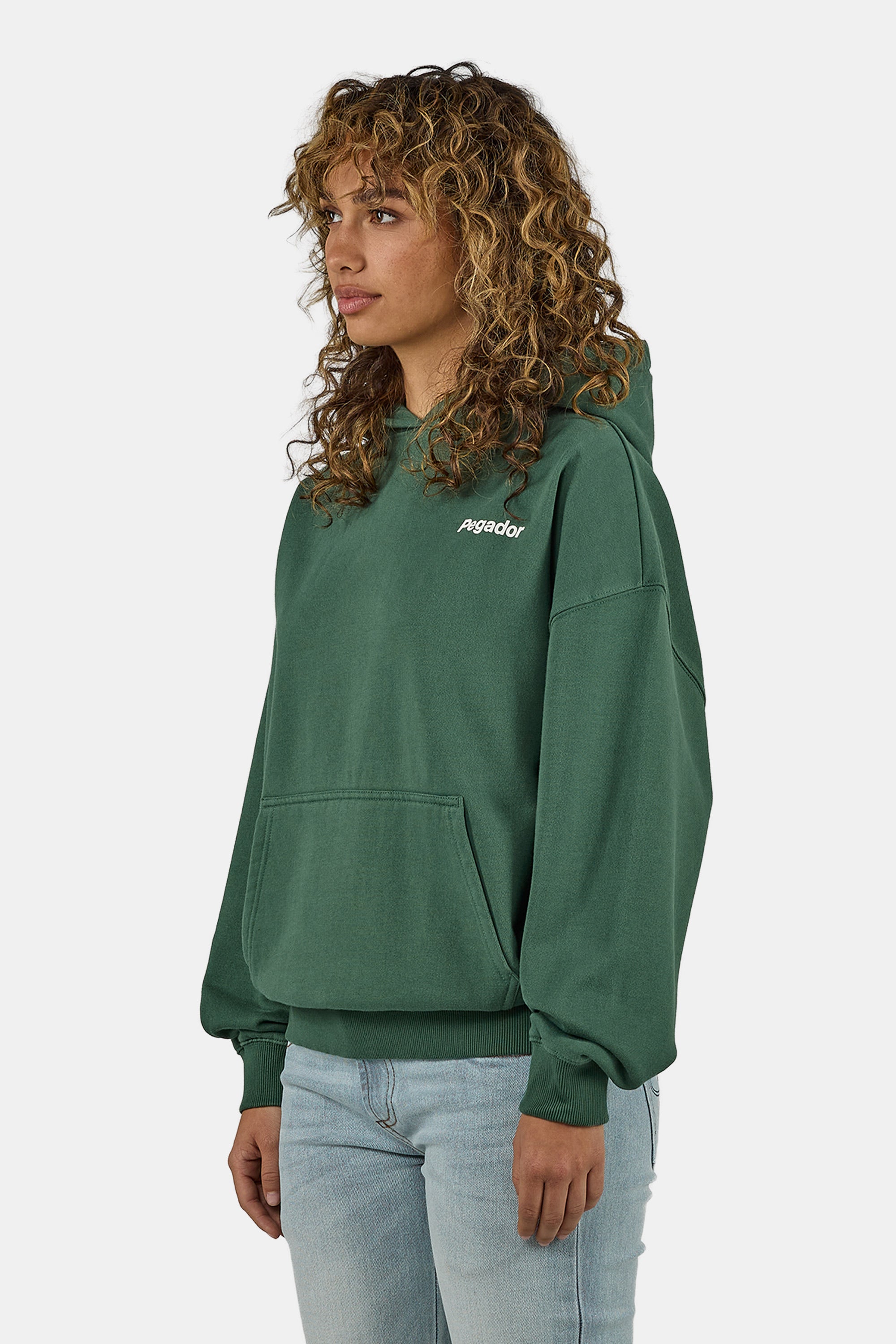 Miravet Oversized Hoodie Washed Solid Green – PEGADOR®