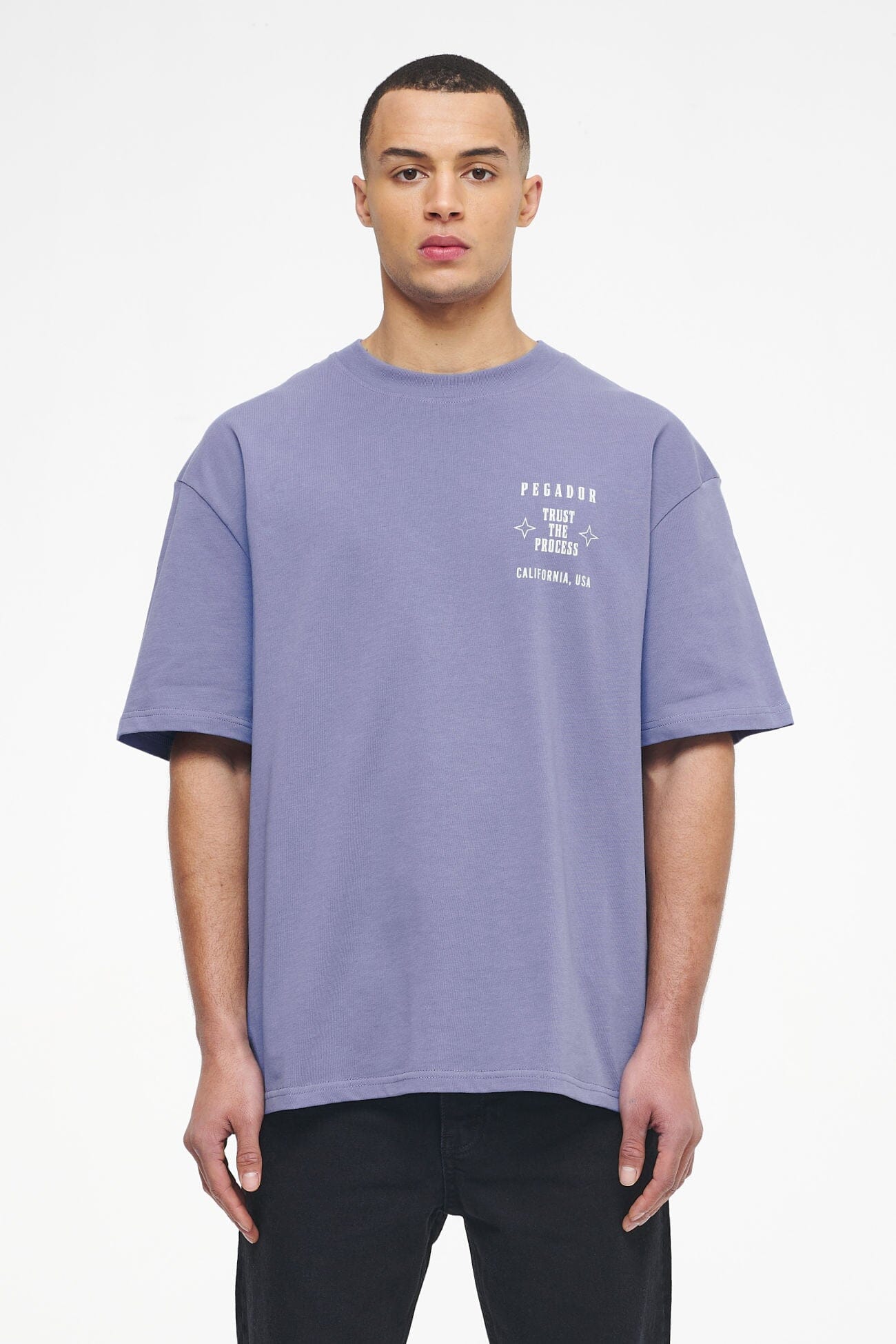 Pegador Salal Oversized Tee Vintage Washed Magic Violet Seitenansicht aus der Trust The Process Kollektion für Herren